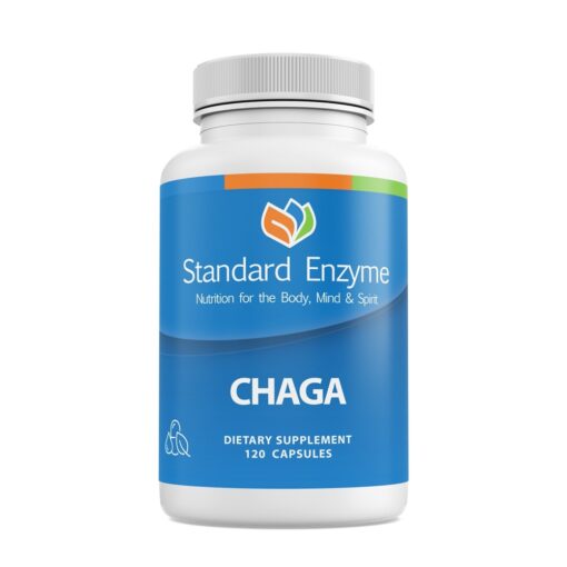 Chaga