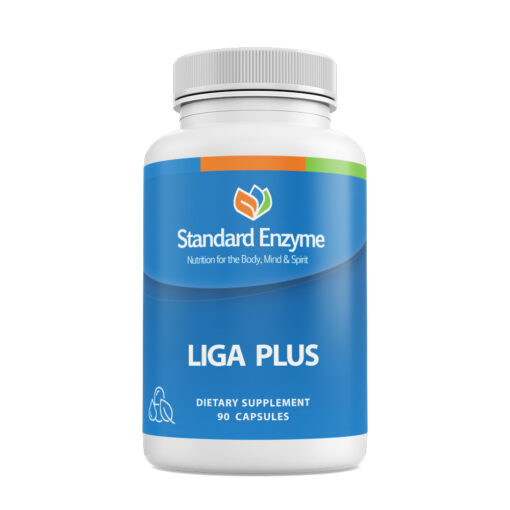 Liga Plus