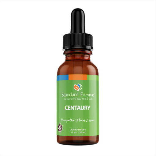 Centaury