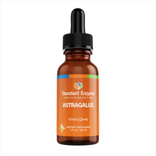 Astragalus