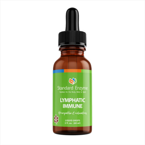 Lymphatic Immune