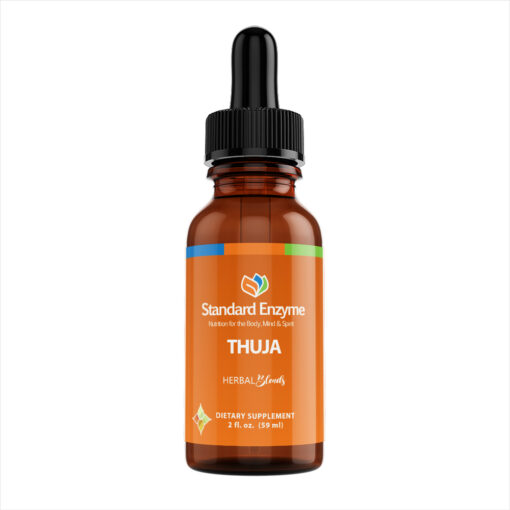 Thuja